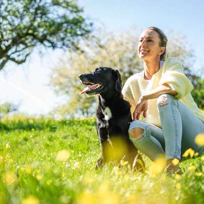Hundeschulen-STYRA® COACHING Simone Fabian-Bild