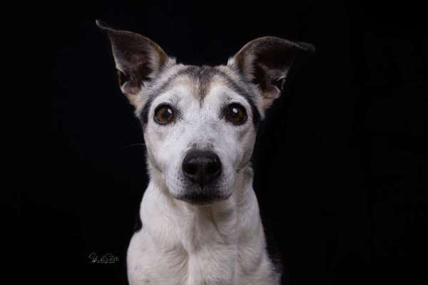 Giftköder-Studioshooting-Bild