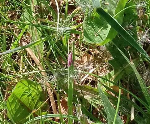 Bright side of life! Schönwetter-Thread-Beitrag-Bild