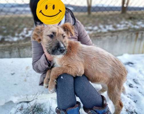 Foto Challenge 82-Beitrag-Bild