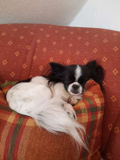 Die unbequemsten und lustigsten Schlafpositionen-Beitrag-Bild