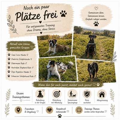 Hundetreffen-Hundetrainigs Gruppe Freinsheim-Bild