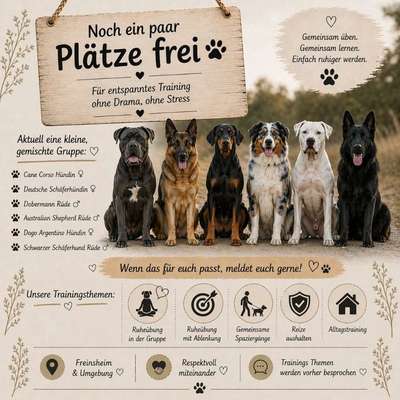Hundetreffen-Hundetrainigs Gruppe Freinsheim-Bild