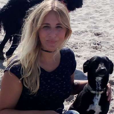 Hundetreffen-Spielpartner für Windhundmix-Mädel-Profilbild