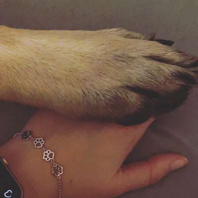 Dogorama Photo Challenge - Be my valentine-Beitrag-Bild