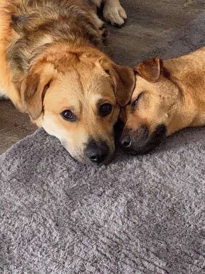 Verliebte-Beitrag-Bild