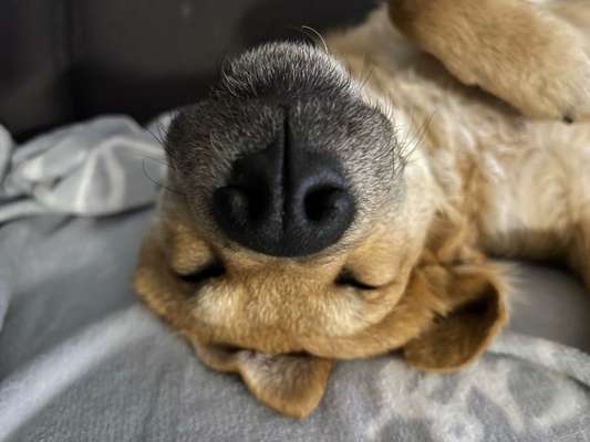 Die unbequemsten und lustigsten Schlafpositionen-Beitrag-Bild