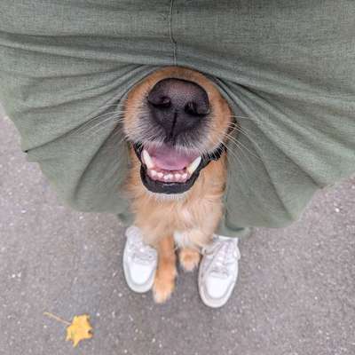 Nervosität, Stress, Angst-Beitrag-Bild