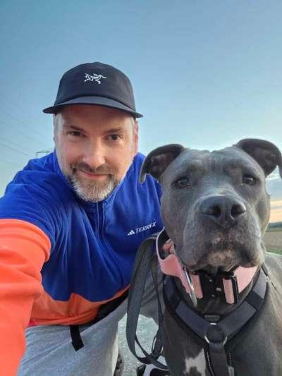 Hundetreffen-Zusammen Gassi gehen und Spielpartner gesucht-Bild