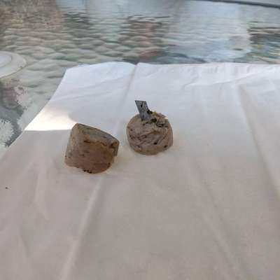 Giftköder-Klinge in Wurst-Bild