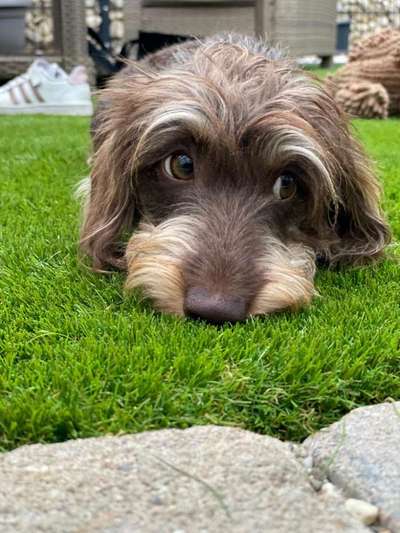 Lieblingsbild-Beitrag-Bild