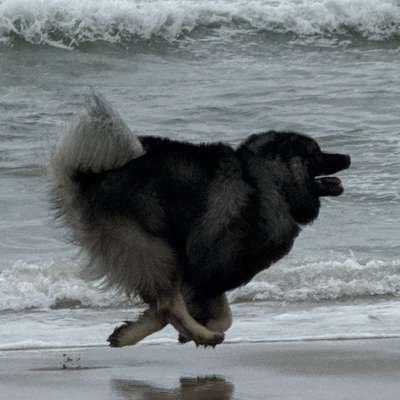 Christina's Profilbild