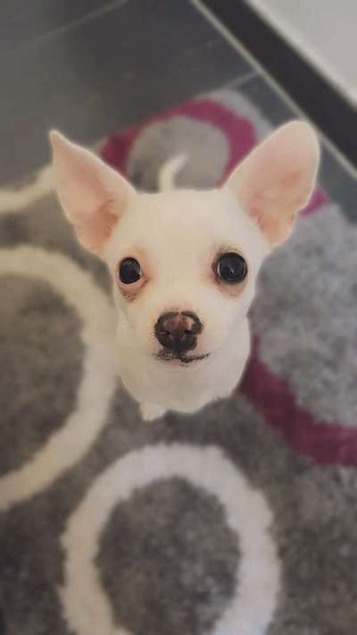 Trainigsschmeckis-Beitrag-Bild