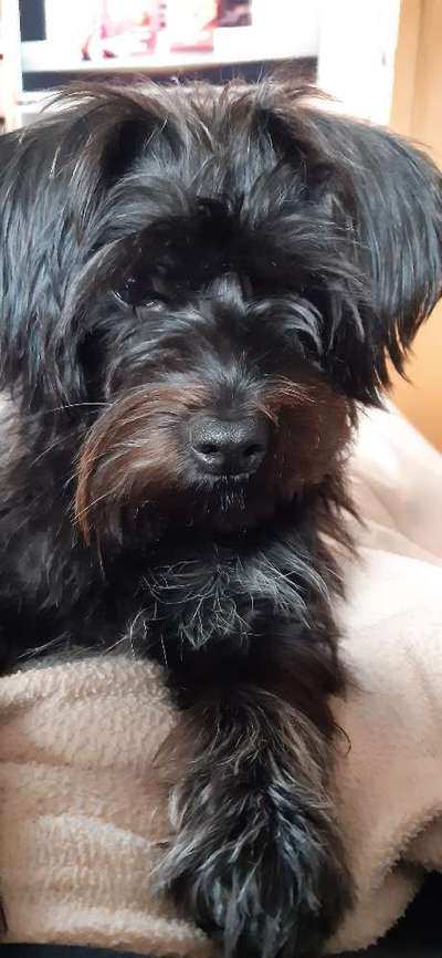 Fotochallange Nr. 57     PORTRÄT.   Beendet!!!!!!!!-Beitrag-Bild