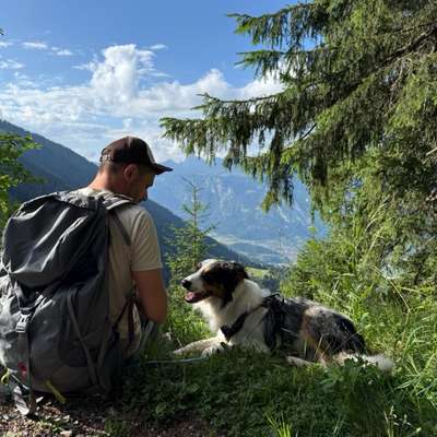 Hundetreffen-Gassirunde mit Auslauf und Spiel in SB