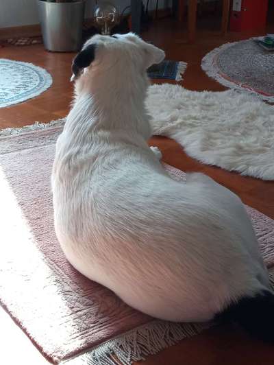 53. Collage Challenge - Verschiedene Blickwinkel-Beitrag-Bild