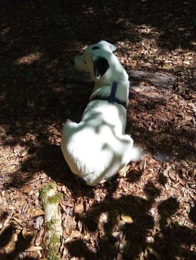 26. Farben Fotochallenge "Herbstfarben"-Beitrag-Bild