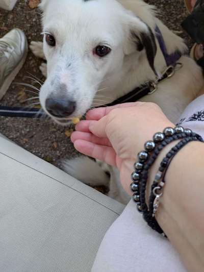 152. Foto Challenge: "Friss mir aus der Hand"-Beitrag-Bild