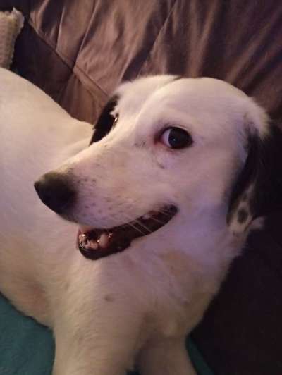 19. Farben  Fottochallenge :
Lieblingsfarbe-Beitrag-Bild