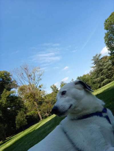 53. Collage Challenge - Verschiedene Blickwinkel-Beitrag-Bild