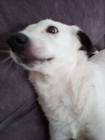 42. Collage Challenge - Ruheplatz-Beitrag-Bild