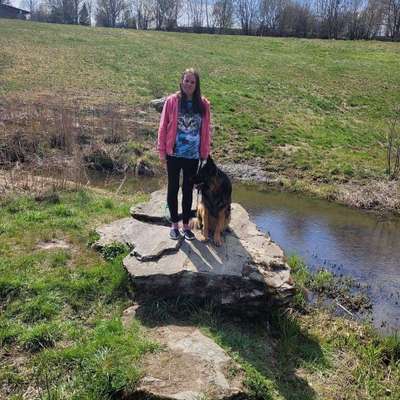 Hundetreffen-Spielrunde  und Badespaß am Wasser im Sommer-Profilbild