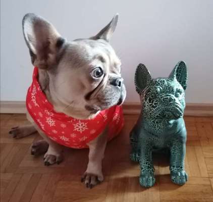 Zeigt her eure Frenchi-Beitrag-Bild