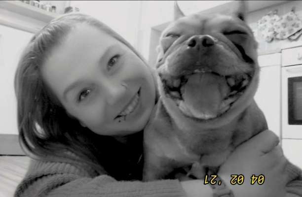 Zeige das lustigste Bild eures Hundis-Beitrag-Bild