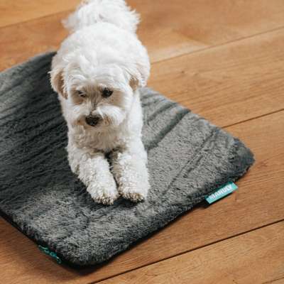 %{de_profession_title}-Isomatte S | Langhaar | Anthrazit Aqua-Bild