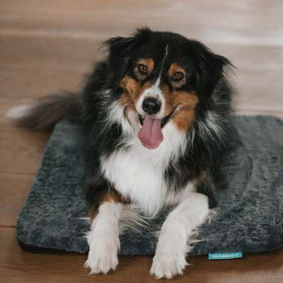 %{de_profession_title}-Isomatte M | Langhaar | Anthrazit Aqua-Bild