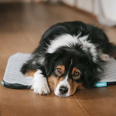 %{de_profession_title}-Isomatte M | Cooling | Grau Aqua-Bild