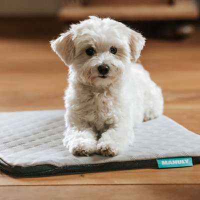 %{de_profession_title}-Isomatte S | Cooling | Grau Aqua-Bild