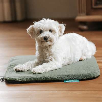 %{de_profession_title}-Isomatte S | Teddy Bezug | Olivgrün-Bild