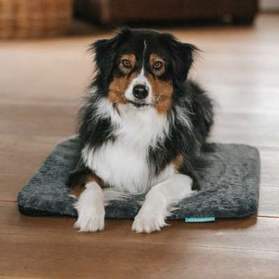 %{de_profession_title}-Isomatte M | Langhaar Bezug | Anthrazit-Bild