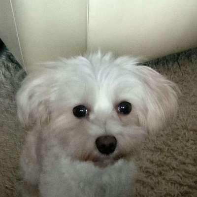 Vorher.... Nachher-Beitrag-Bild