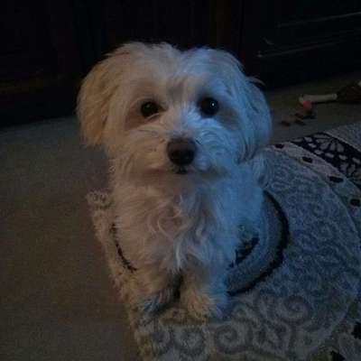 Vorher.... Nachher-Beitrag-Bild