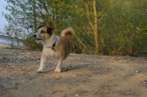 Fotochallenge No. 26                                     Wald und Wiese-Beitrag-Bild