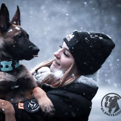 Hundeschulen-MS.Dogtraining UG-Bild