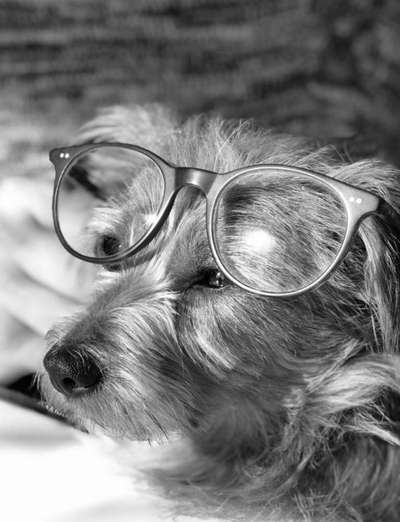 Foto-Challenge 76: Foto in Schwarz-Weiss-Beitrag-Bild