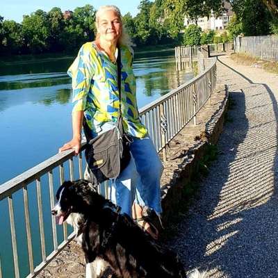 Hundetreffen-Spaziergänge-Profilbild