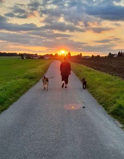 Hundmenschfotos-Beitrag-Bild