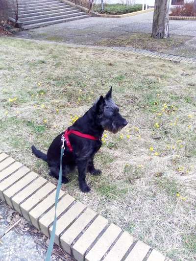 Dogorama Photo Challenge - Der Frühling kommt-Beitrag-Bild