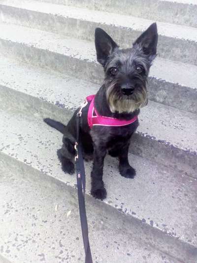 Doppelgänger gesucht !-Beitrag-Bild