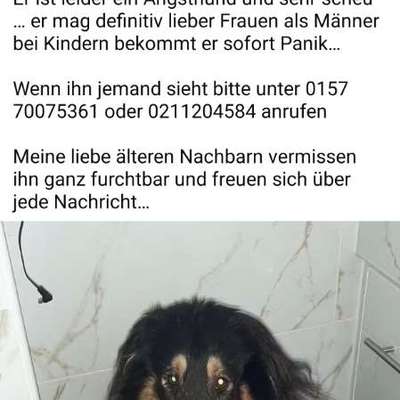 Suchmeldung-Hero-Bild