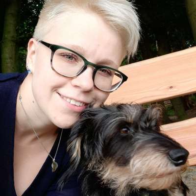 Hundetreffen-Gemeinsame Gassirunde