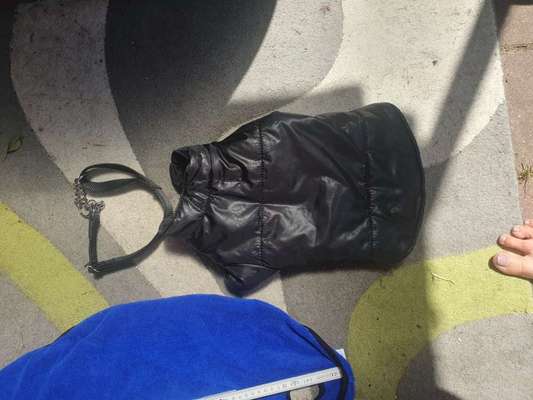 Hunde sachen-Beitrag-Bild