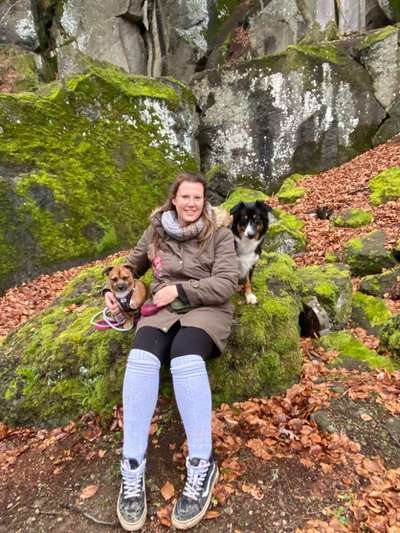 Dogorama Photo Challenge - Tierischer Urlaub-Beitrag-Bild