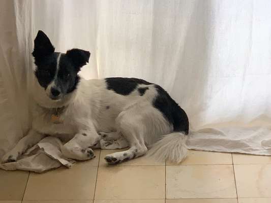 Doppelgänger gesucht !-Beitrag-Bild