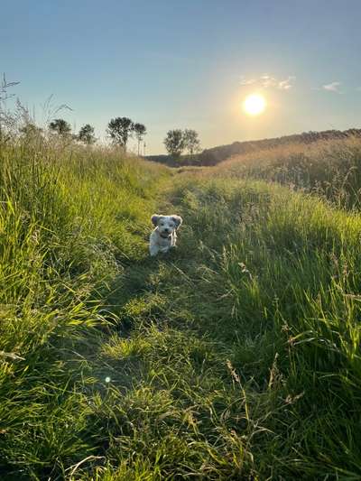 Lieblingsbild-Beitrag-Bild