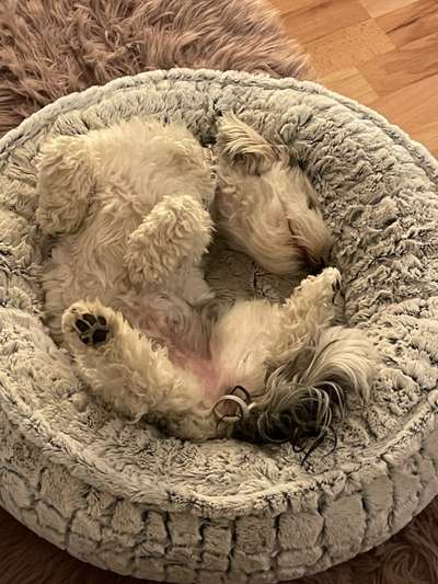 FOTO-Challenge  NR. 91: Die pure Entspannung-Beitrag-Bild